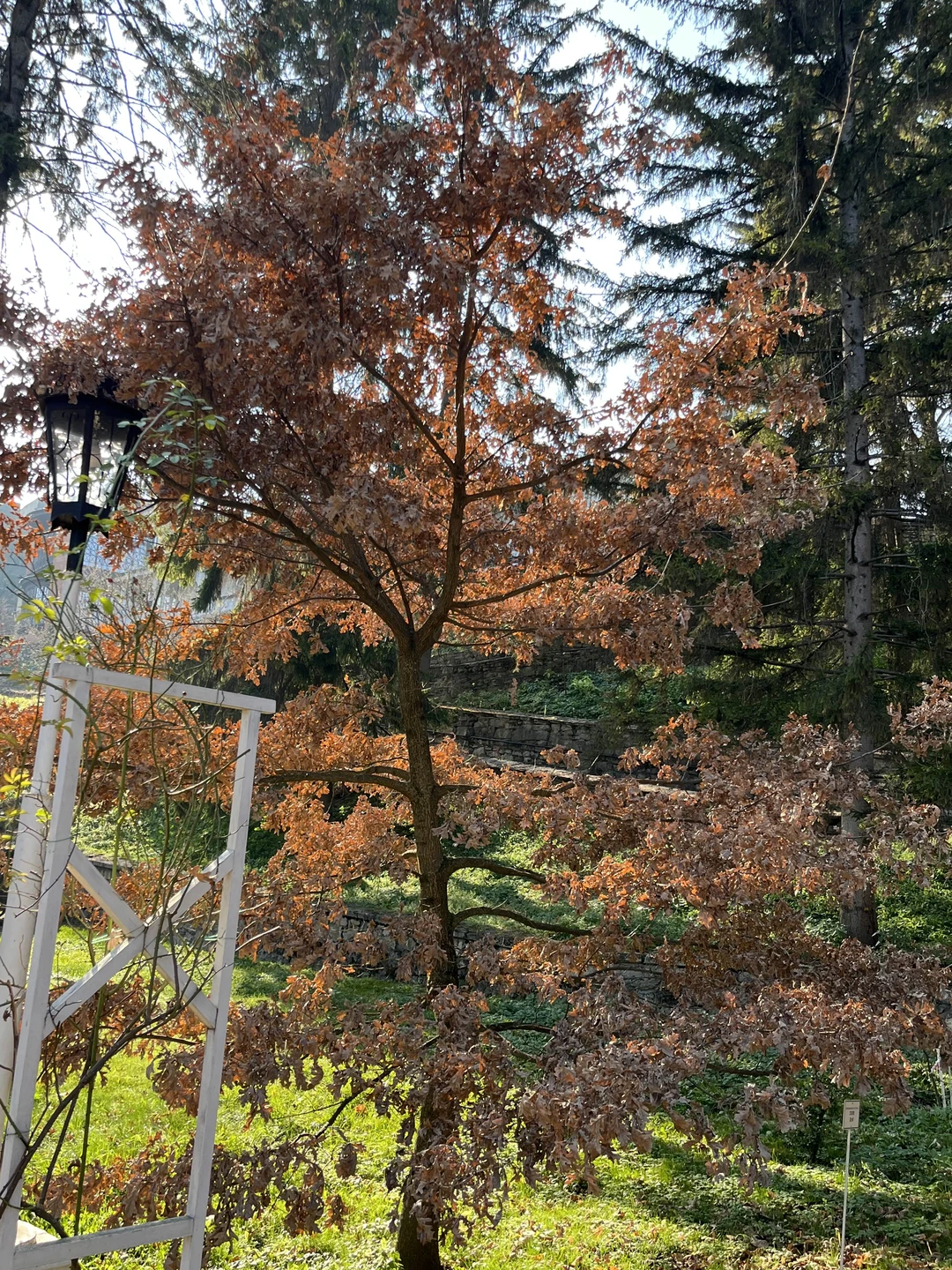 Фото путешественника — 3