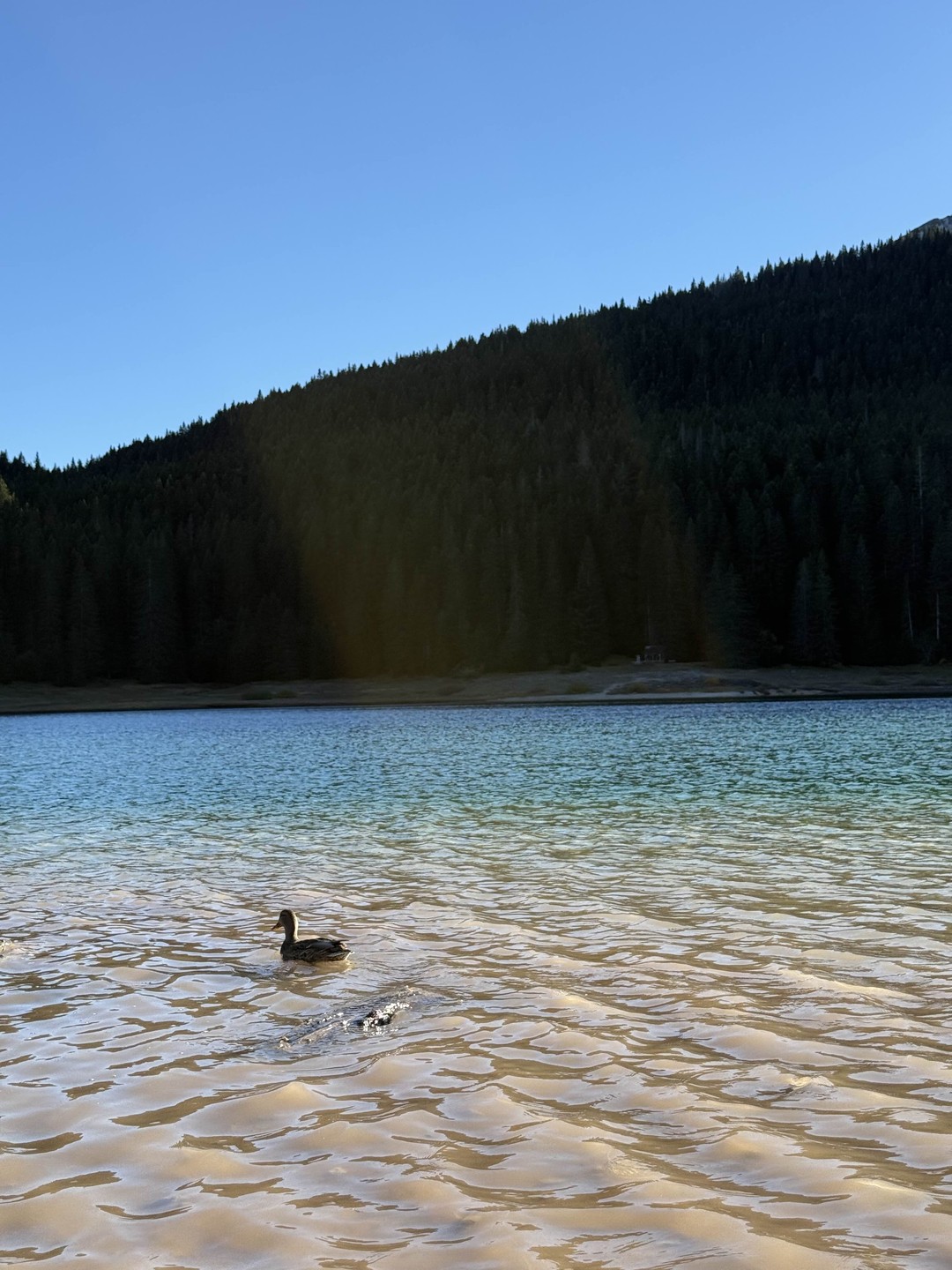 Отзыв о экскурсии "На север Черногории" — фото 8