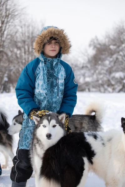 Отзыв о экскурсии "В гости к сибирским хаски и якутским лайкам" — фото 5