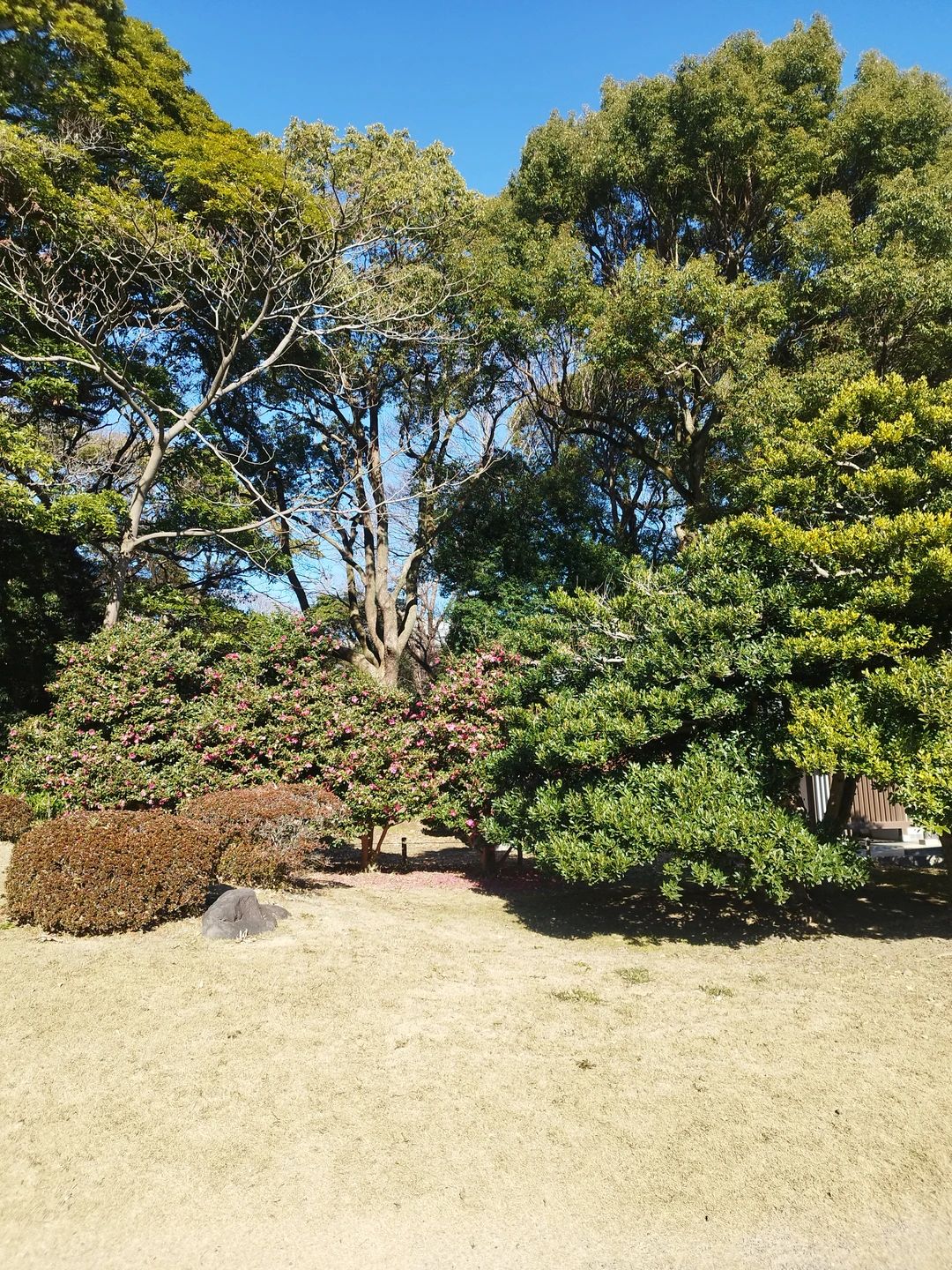 Отзывы об экскурсиях в Токио