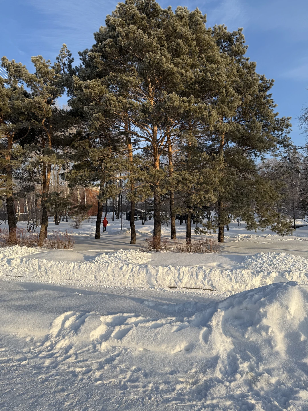 Фото путешественника — 7