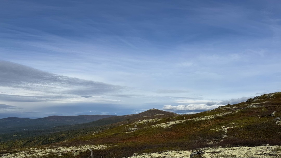 Отзыв о экскурсии "От Белого моря до Баренцева: треккинги и автопрогулки" — фото 6