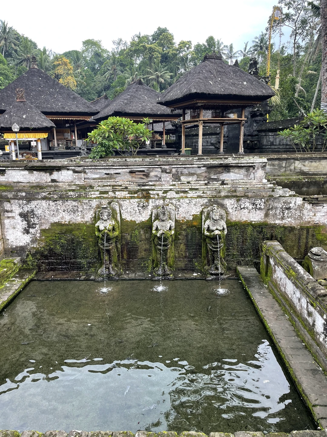 Отзыв о экскурсии "Все краски Бали" — фото 6