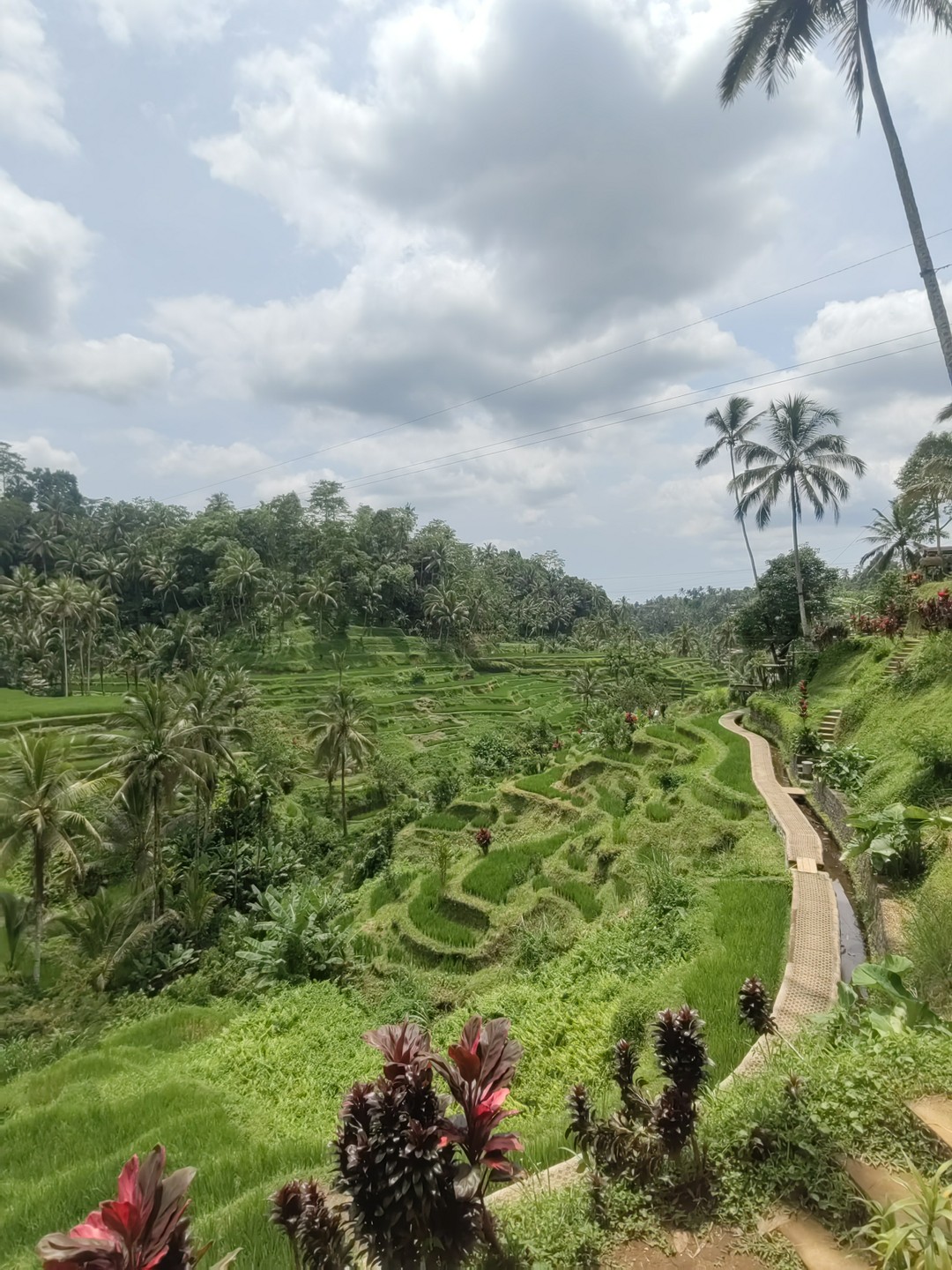 Отзыв о экскурсии "Знакомство с островом: самые живописные места Бали" — фото 4