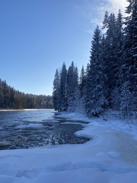 Отзыв о экскурсии "Там, где властвует природа: индивидуальный автотур в Карелию с гидом-фотографом" — фото 3