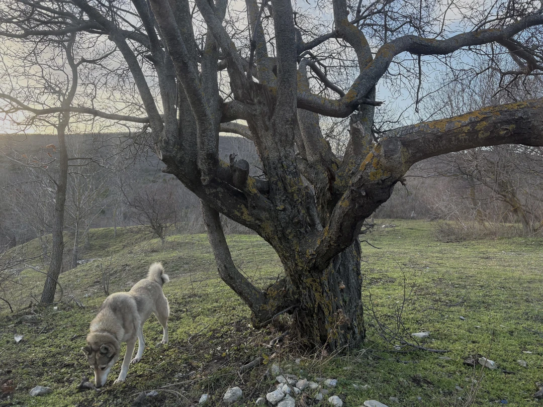 Отзыв о экскурсии "Ваша Анапа! Экскурсия-конструктор" — фото 3