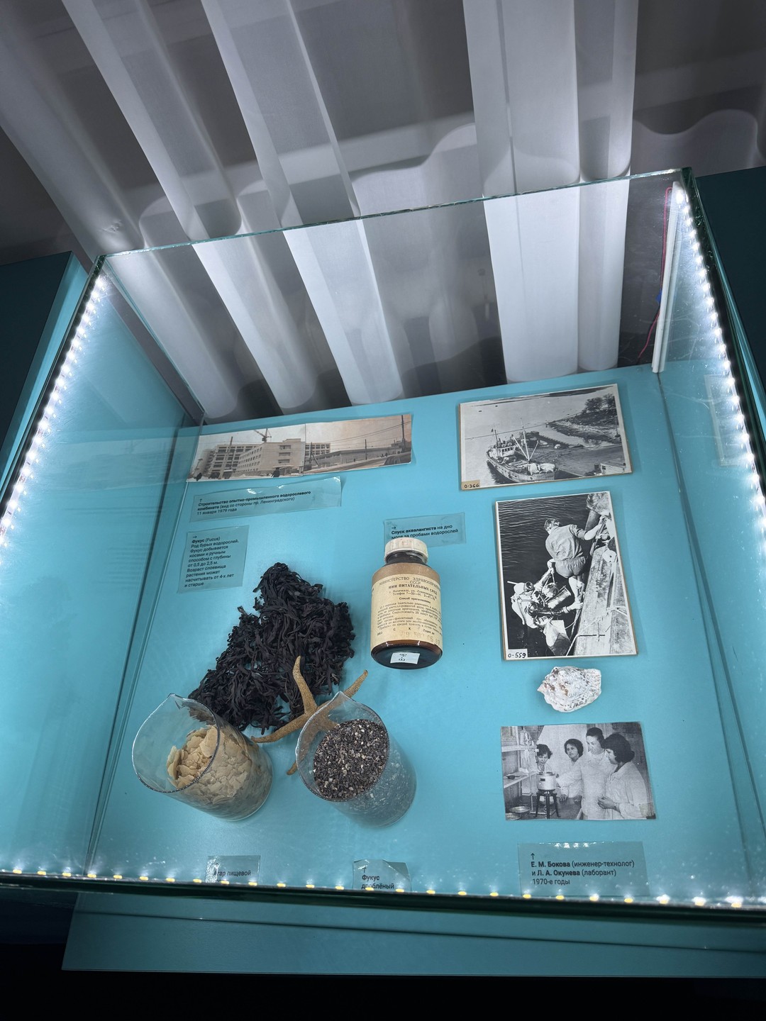 Отзыв о экскурсии "Музей Архангельского водорослевого комбината" — фото 1