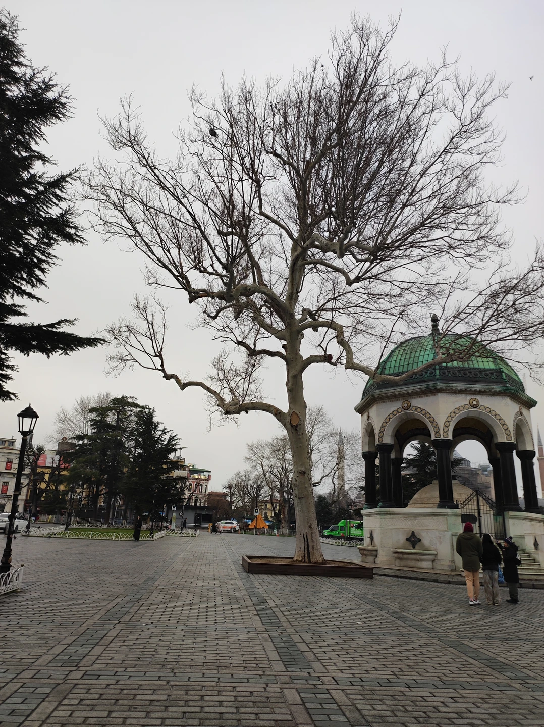 Фото путешественника — 8