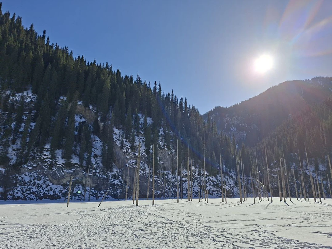 Отзыв о экскурсии "Комфорт-маршрут по озёрам Каинды, Кольсай и Чарынскому каньону" — фото 7