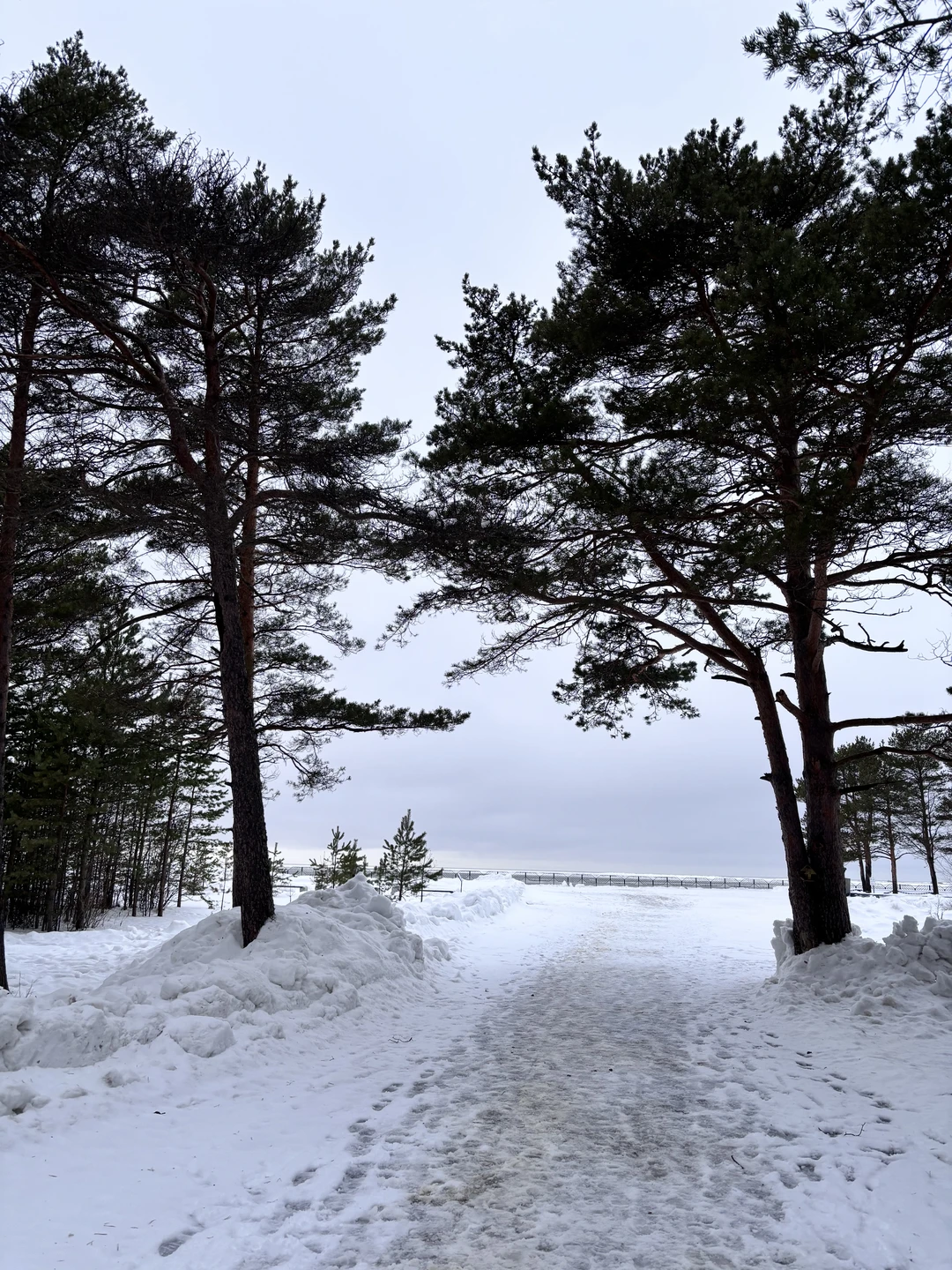 Отзыв о экскурсии "Северодвинск, остров Ягры и Белое море: поездка из Архангельска" — фото 3