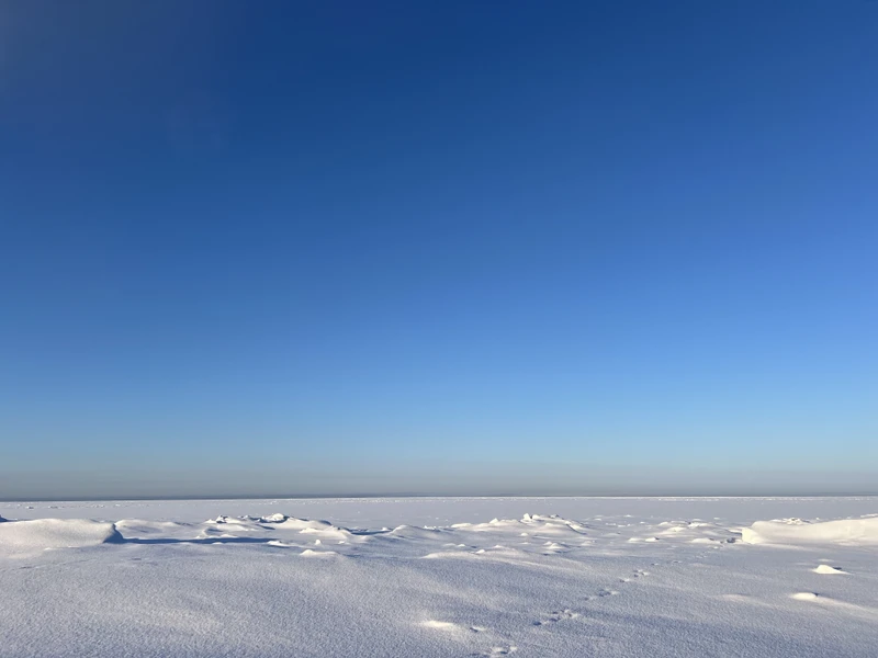 Отзыв о экскурсии "Северодвинск противоречивый" — фото 4