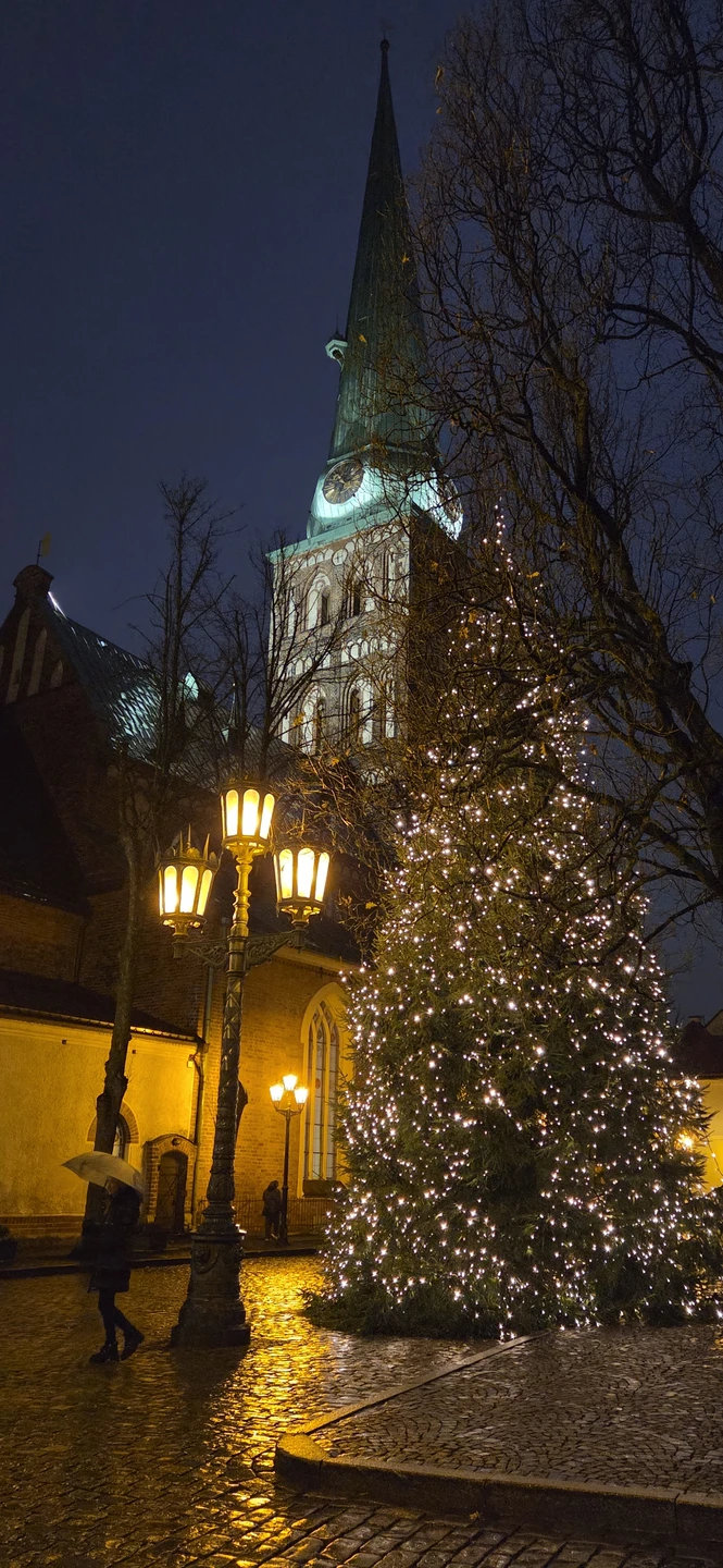 Отзыв о экскурсии "Большой обзор Риги: самые интересные места за 4 часа" — фото 7