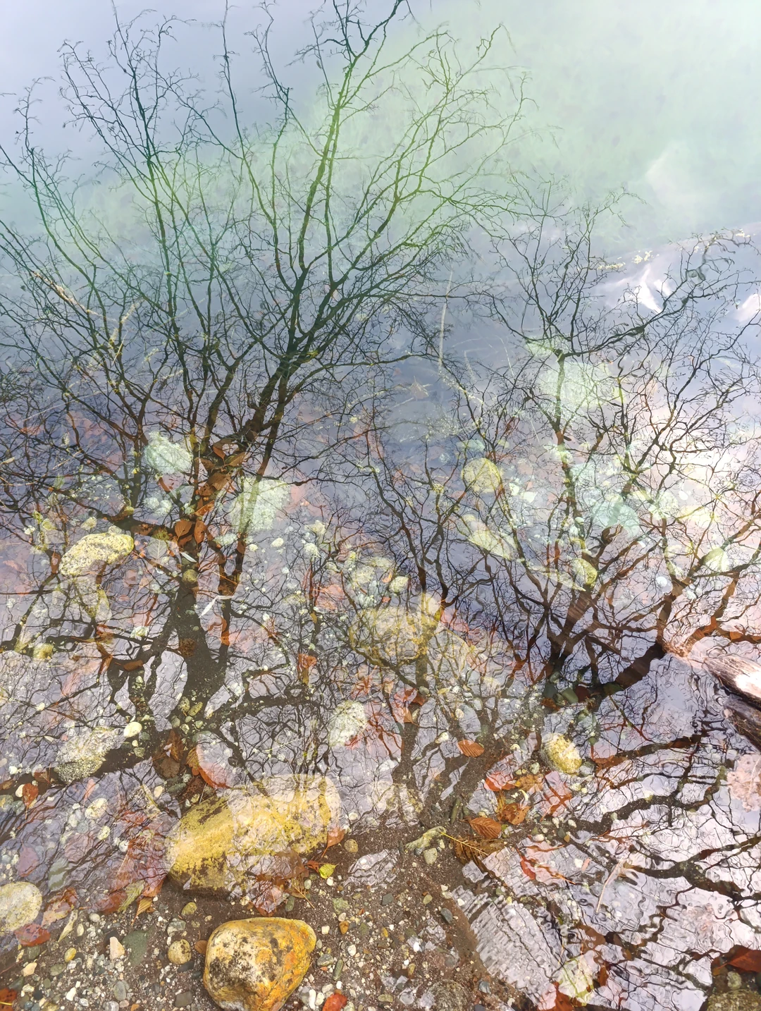 Фото путешественника — 6