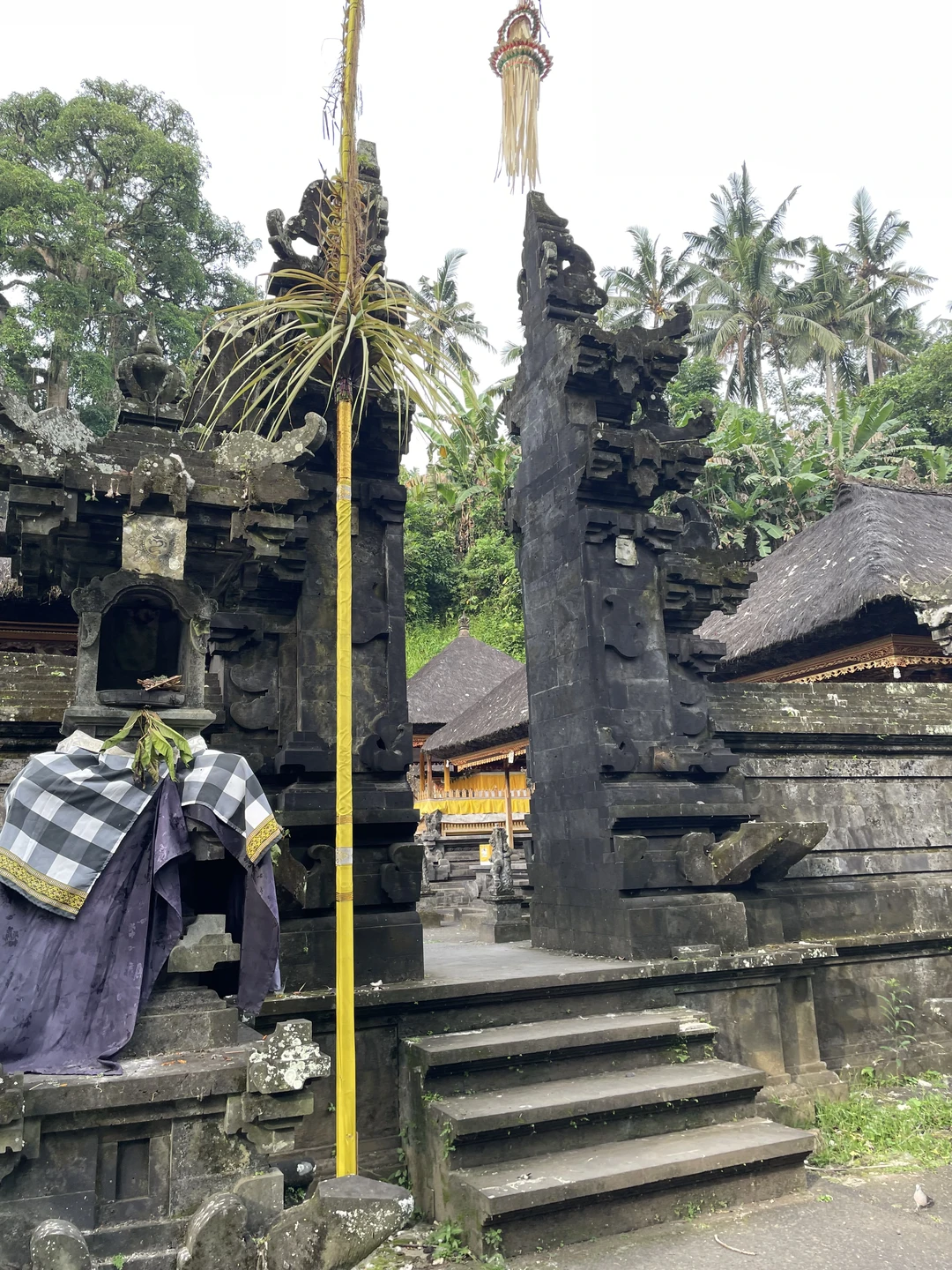 Отзыв о экскурсии "Все краски Бали" — фото 2