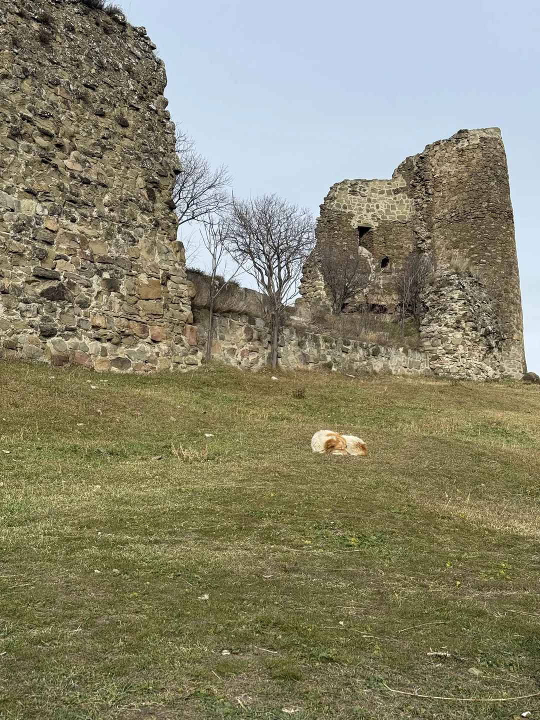 Фото путешественника — 8