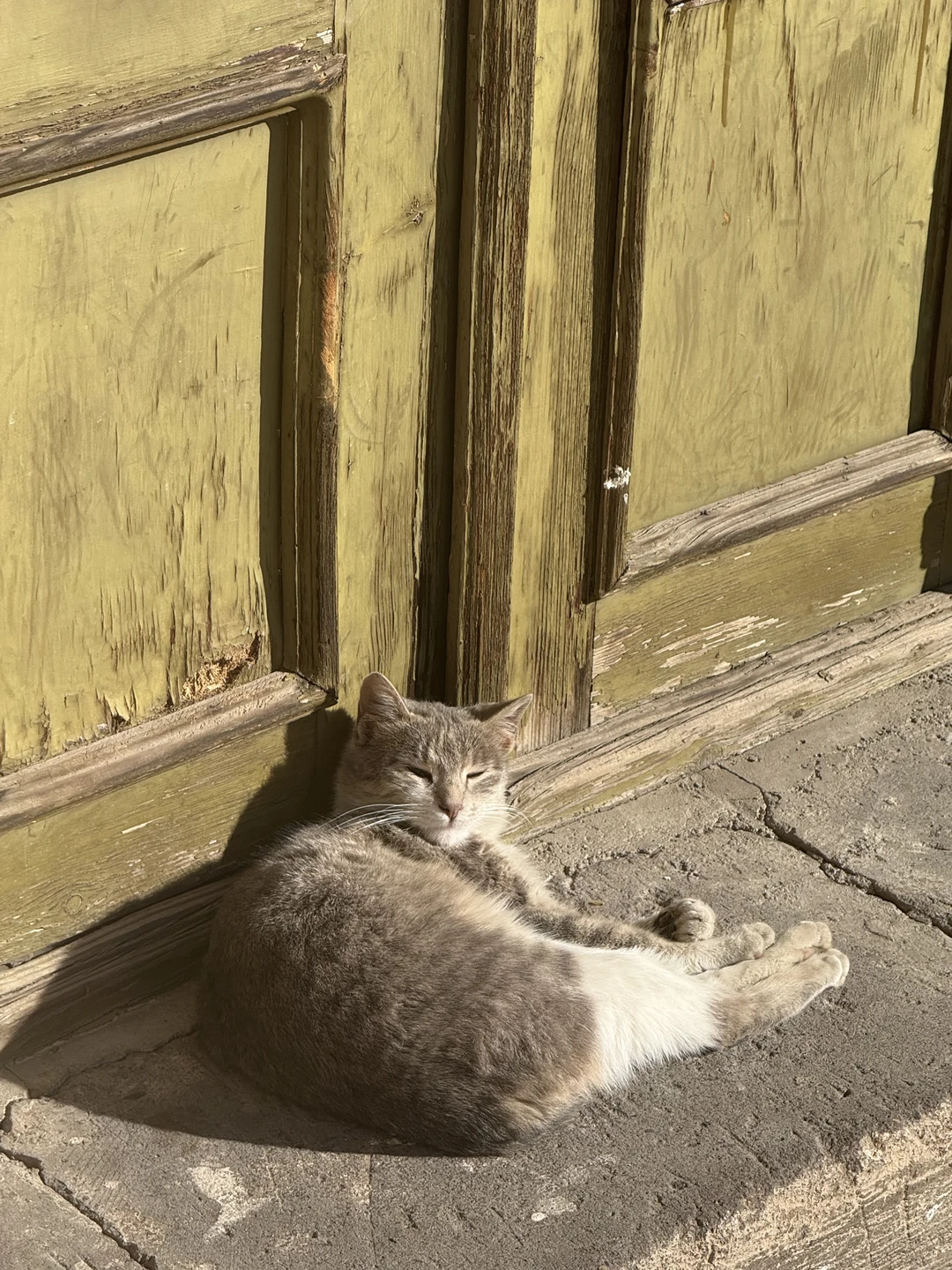 Фото путешественника — 7