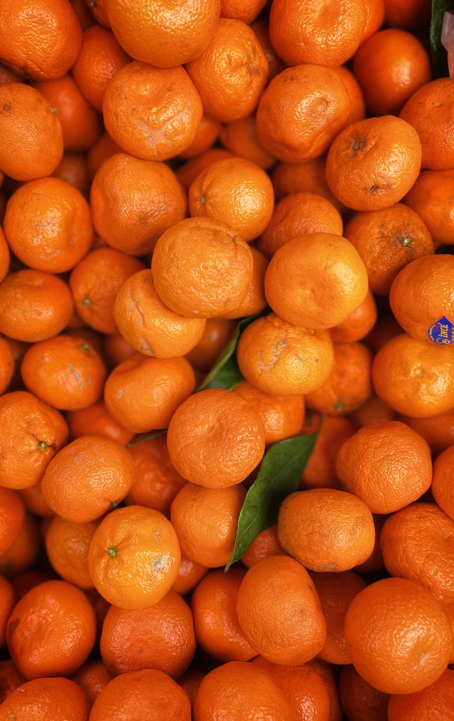 Фото путешественника — 6