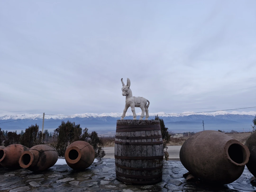 Отзыв о экскурсии "Групповая поездка в Кахетию: Бодбе, Сигнахи и Цинандали" — фото 2