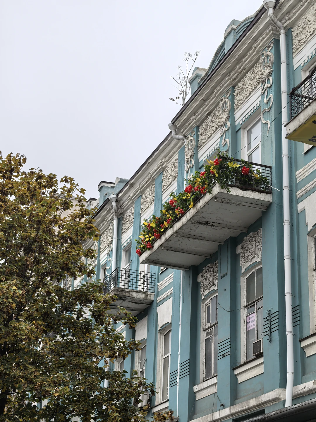 Отзыв о экскурсии "Семейная фотосессия в Ростове-на-Дону" — фото 2