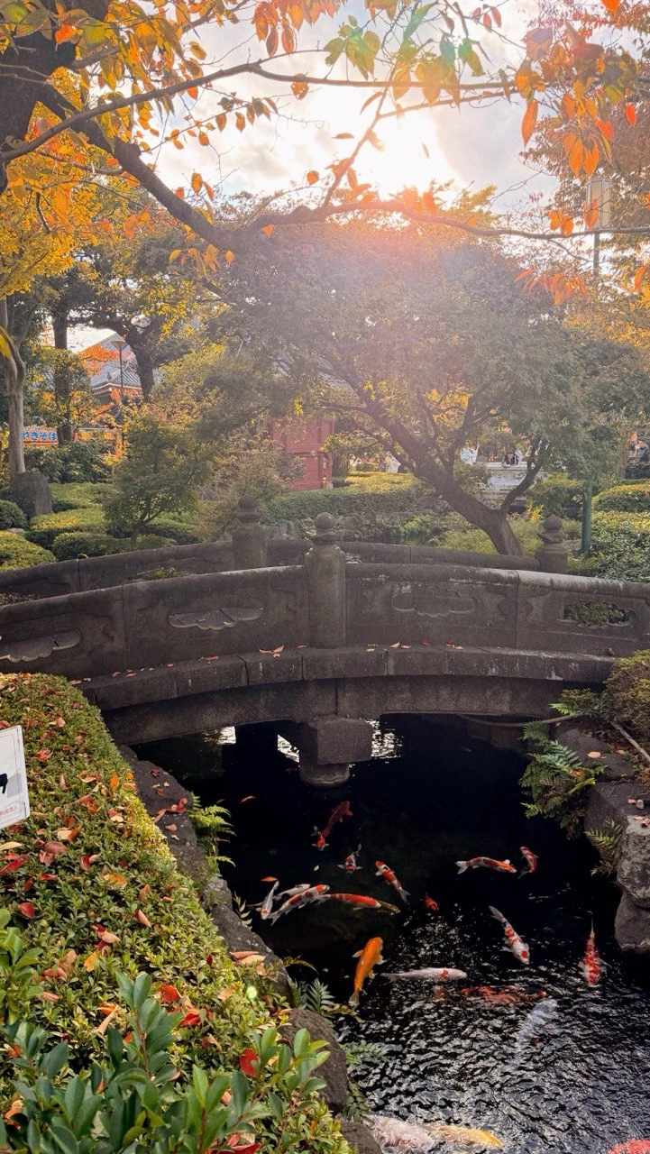 Отзывы об экскурсиях в Токио