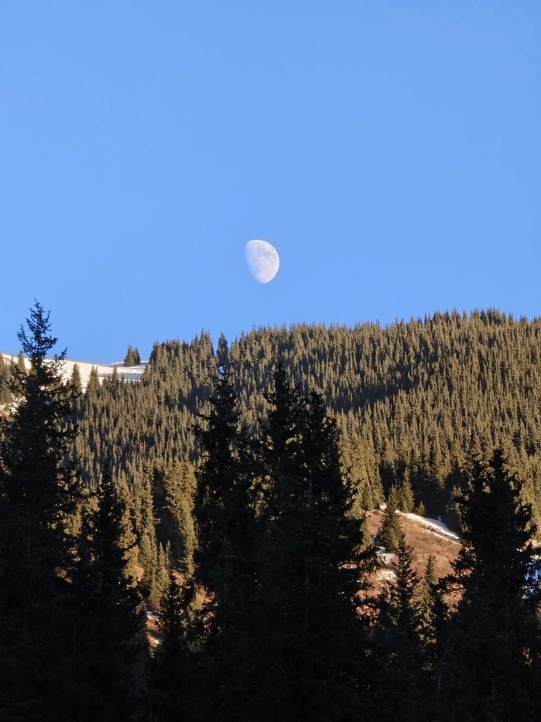 Отзыв о экскурсии "Озёра Каинды и Кольсай, Черный и Чарынский каньоны — все сокровища Алматы" — фото 1