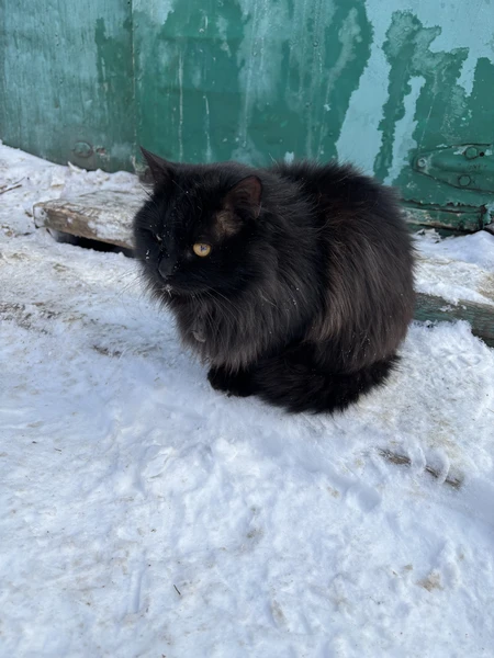 Фото путешественника — 4