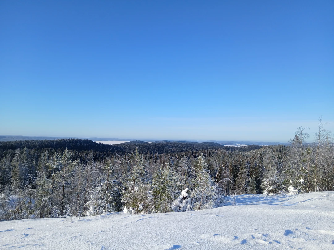 Отзыв о экскурсии "Ладожские шхеры и водопады Карелии за один день" — фото 6
