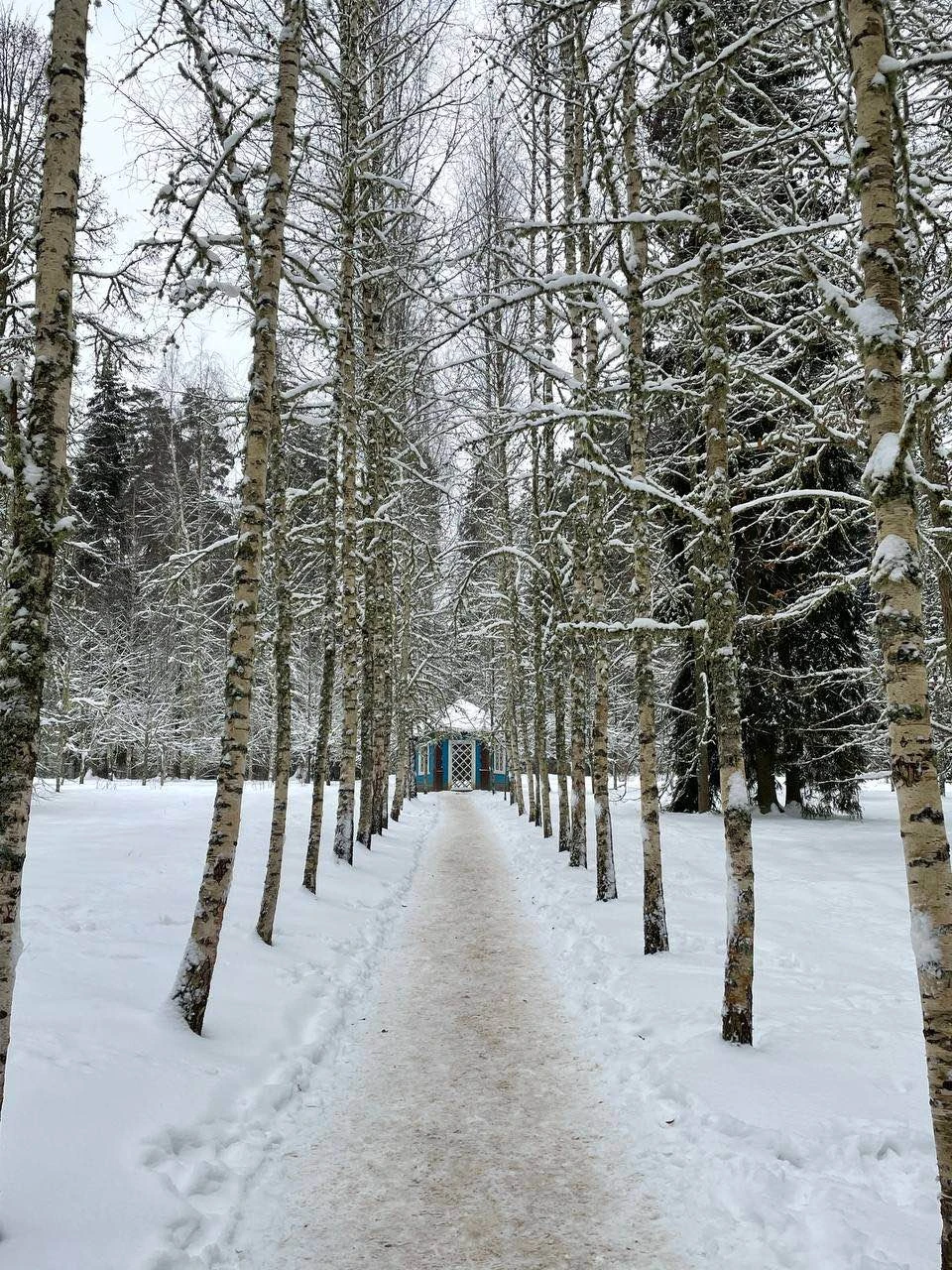 Фото путешественника — 3