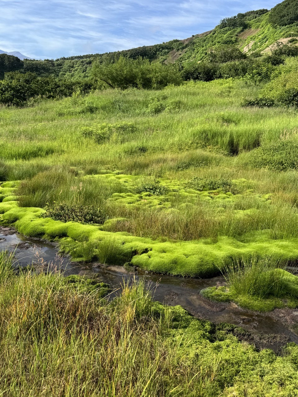 Отзыв о экскурсии "На Камчатке — вкусно есть: гастротур с рыбалкой и крабовой вечеринкой у океана" — фото 5