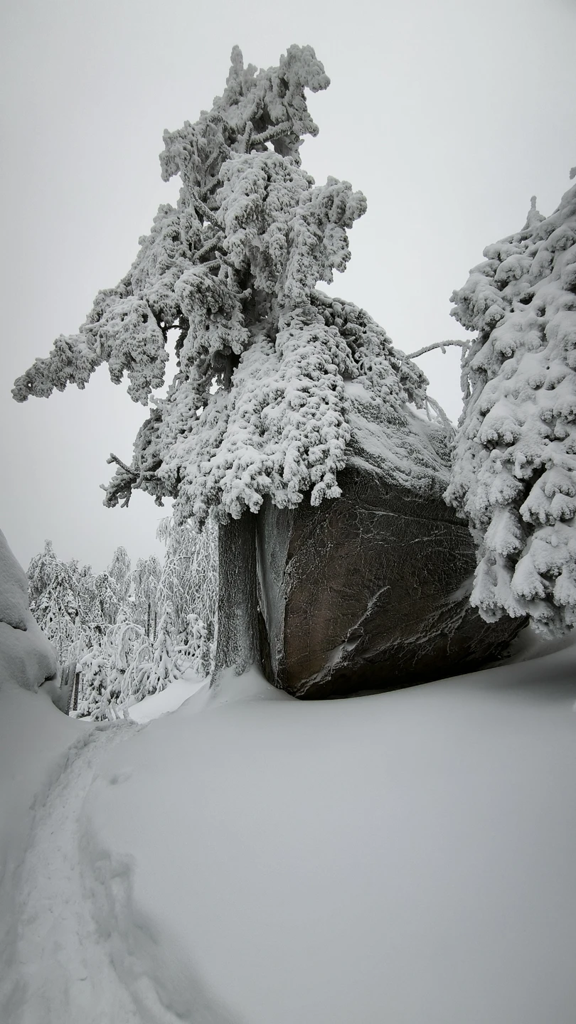 Отзыв о экскурсии "Сказки Пермского края: Усьвинские столбы и Каменный город" — фото 4