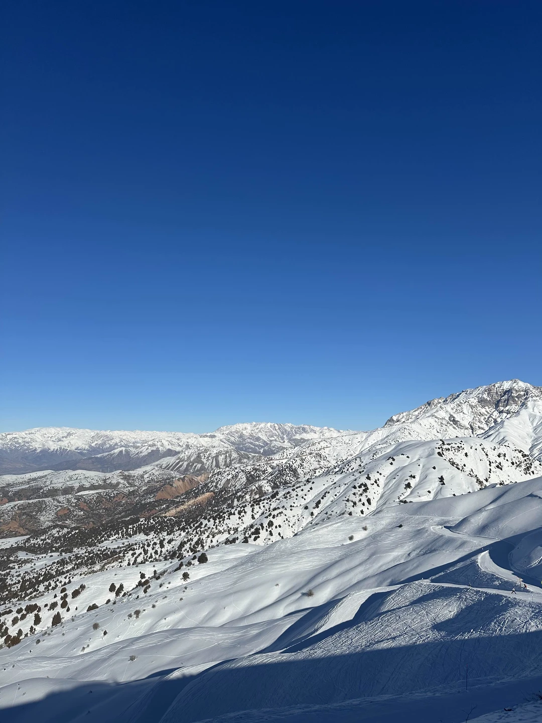 Отзыв о экскурсии "Из Ташкента — к величественным Чимганским горам!" — фото 2