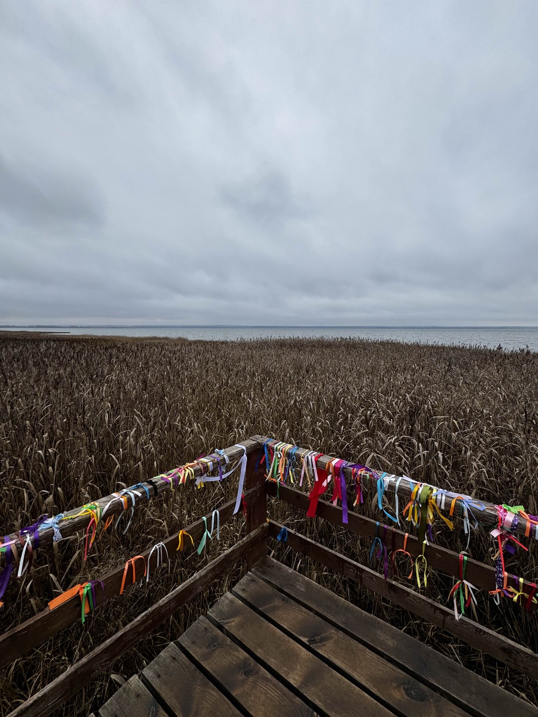 Отзыв о экскурсии "Переславль-Залесский и его живописные окрестности на авто!" — фото 1