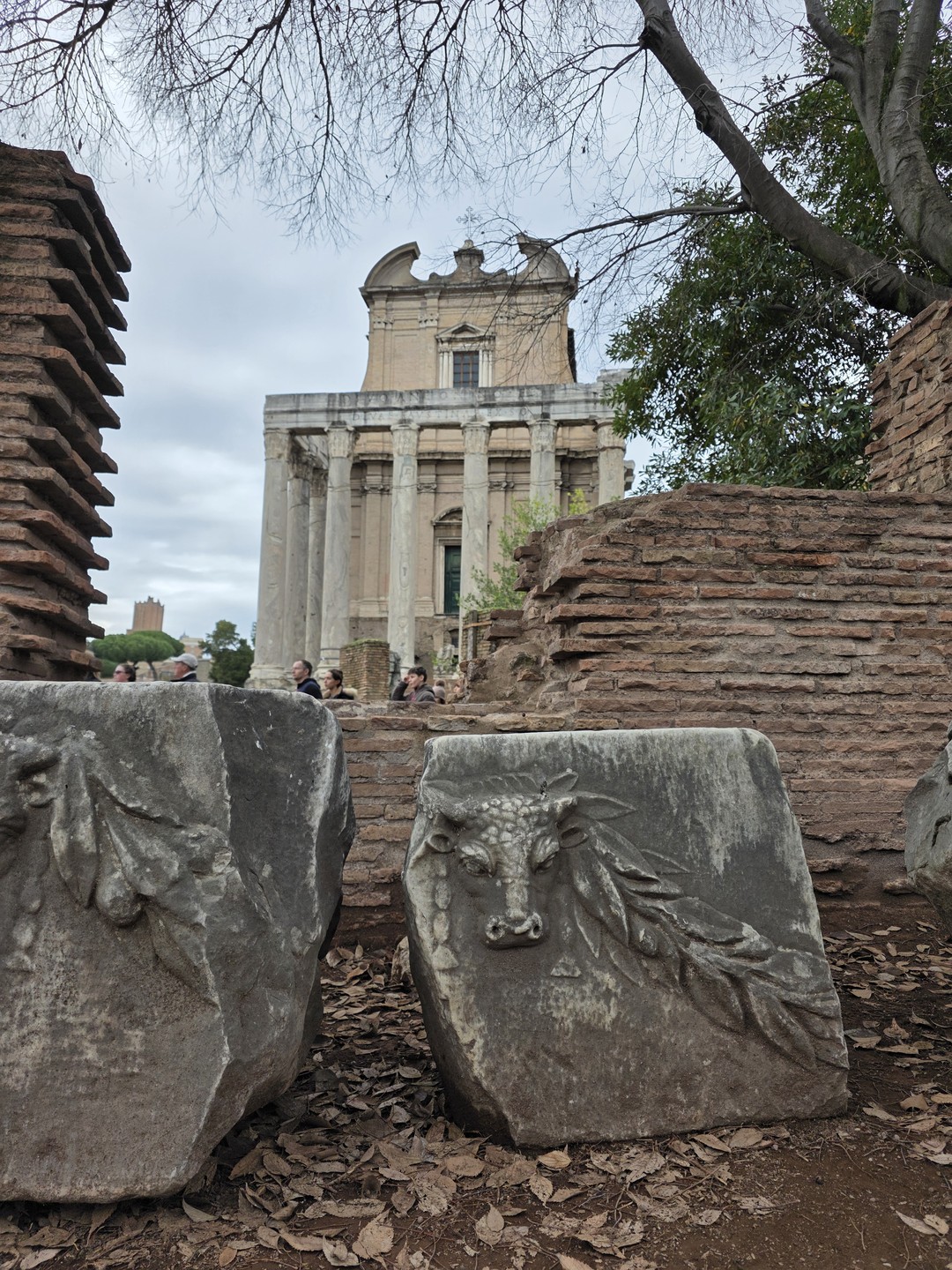 Фото путешественника — 5