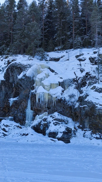 Отзыв о экскурсии "Прогулка по Ладожским шхерам на аэролодке" — фото 3