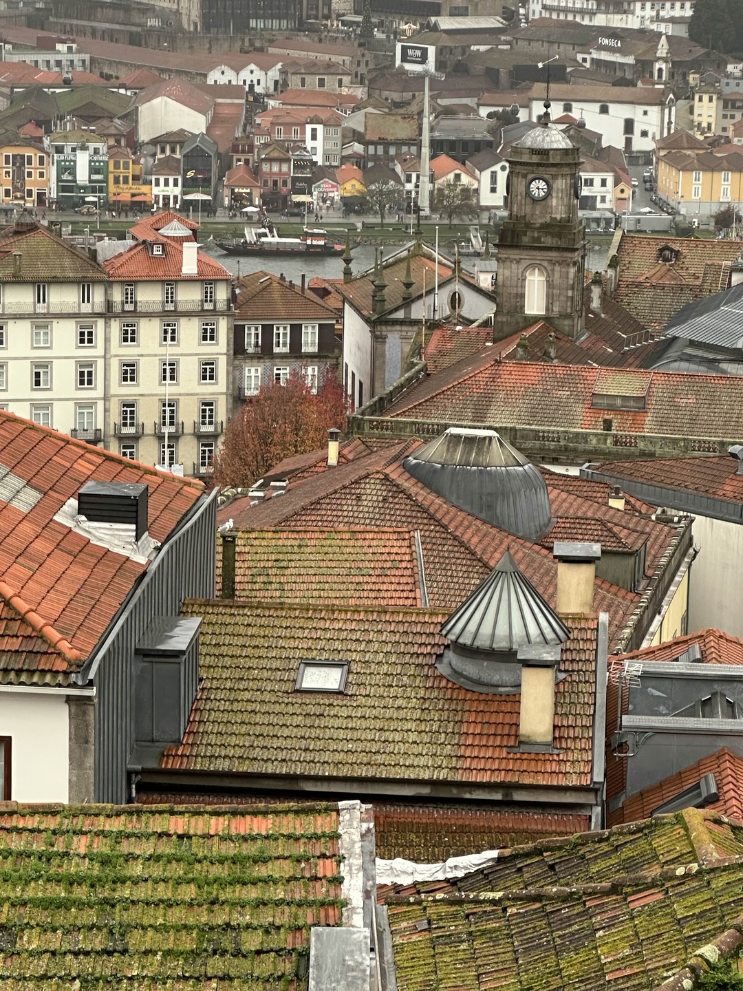 Отзывы об экскурсиях в Порту