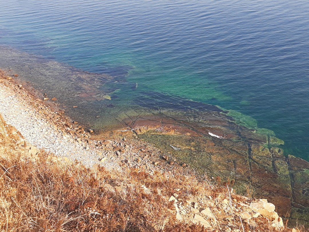 Отзыв о экскурсии "Остров Русский и бухта Стеклянная" — фото 4