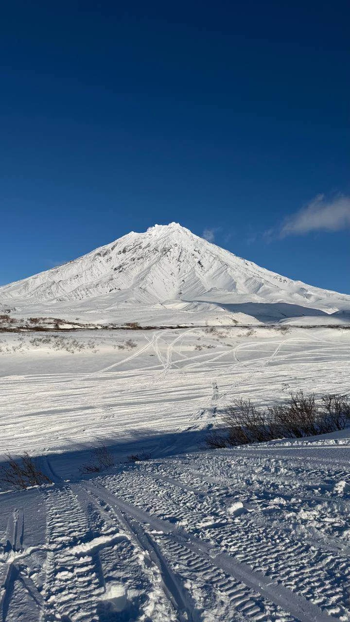 Отзыв о экскурсии "В нартах — к вулканам Корякский и Авачинский" — фото 7