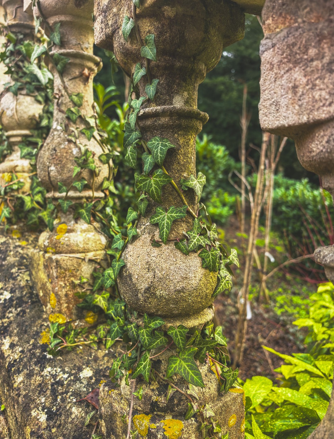 Отзыв о экскурсии "Один день в Cotswolds: путешествие к самым красивым деревням Англии" — фото 2