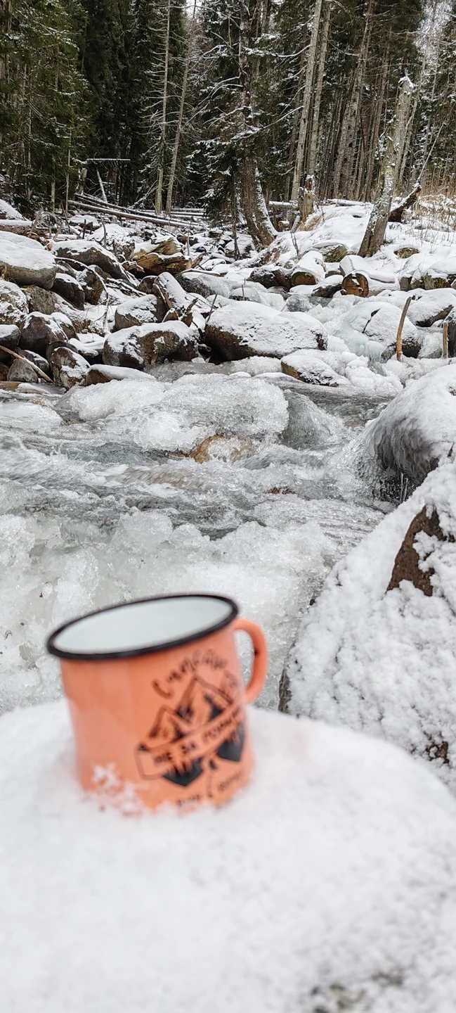 Отзыв о экскурсии "Сердце гор: из Пятигорска — в Домбай" — фото 3