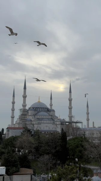 Отзывы об экскурсиях в Стамбуле