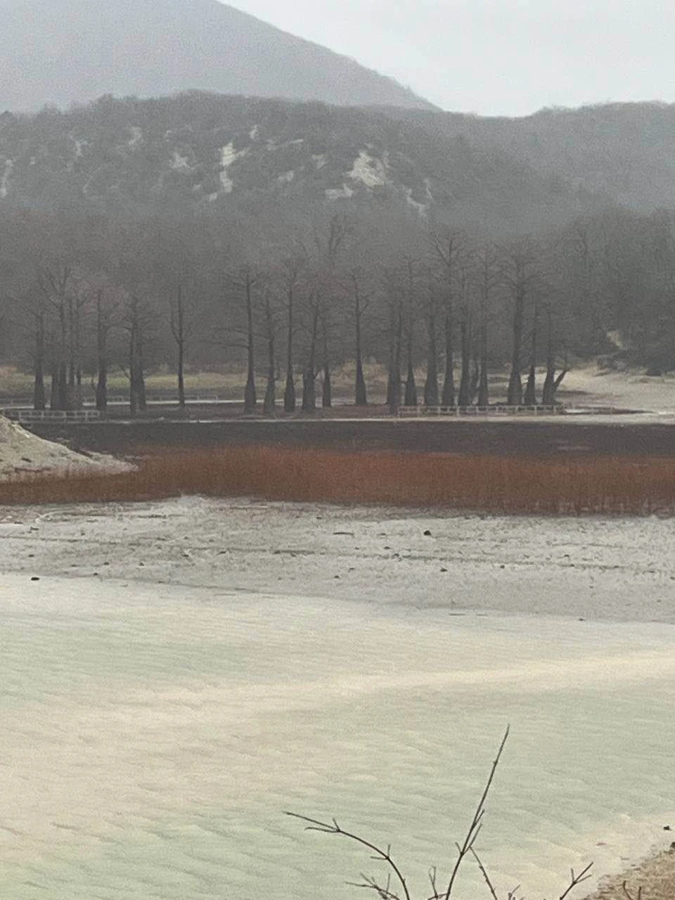 Отзыв о экскурсии "Кипарисовое озеро и развлечения на любой вкус" — фото 1