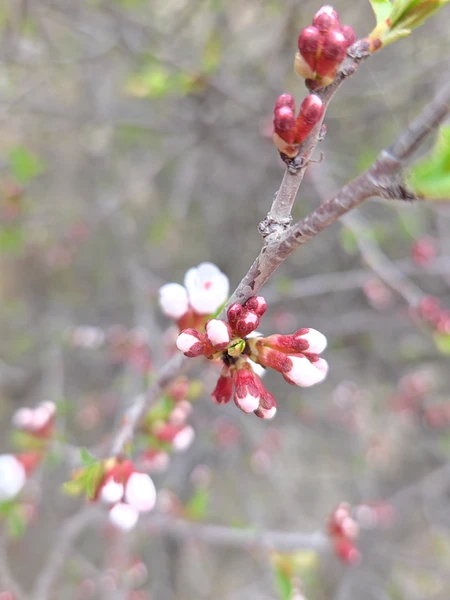 Фото путешественника — 3