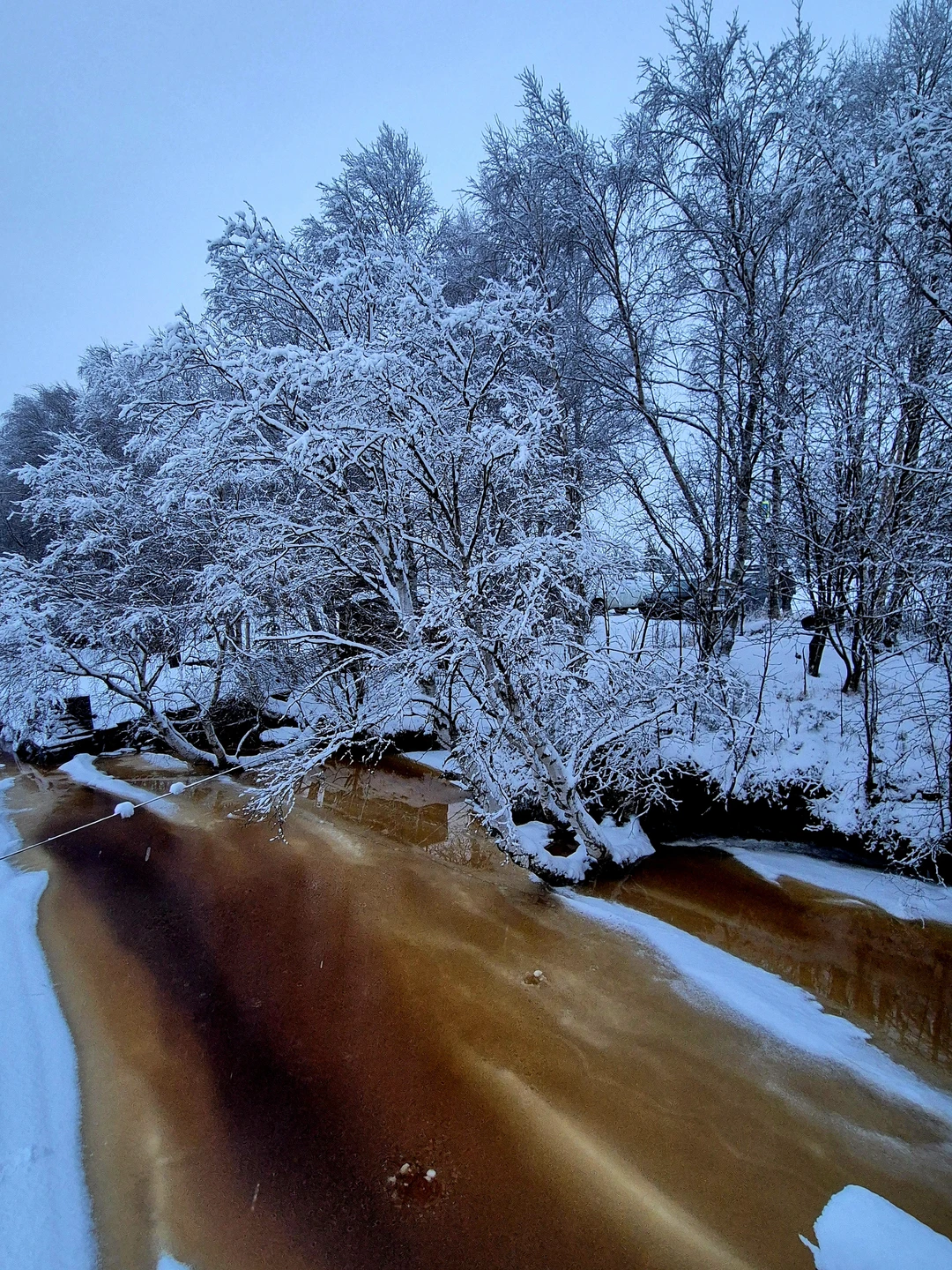 Отзыв о экскурсии "К Белому морю на остров Ягры" — фото 8