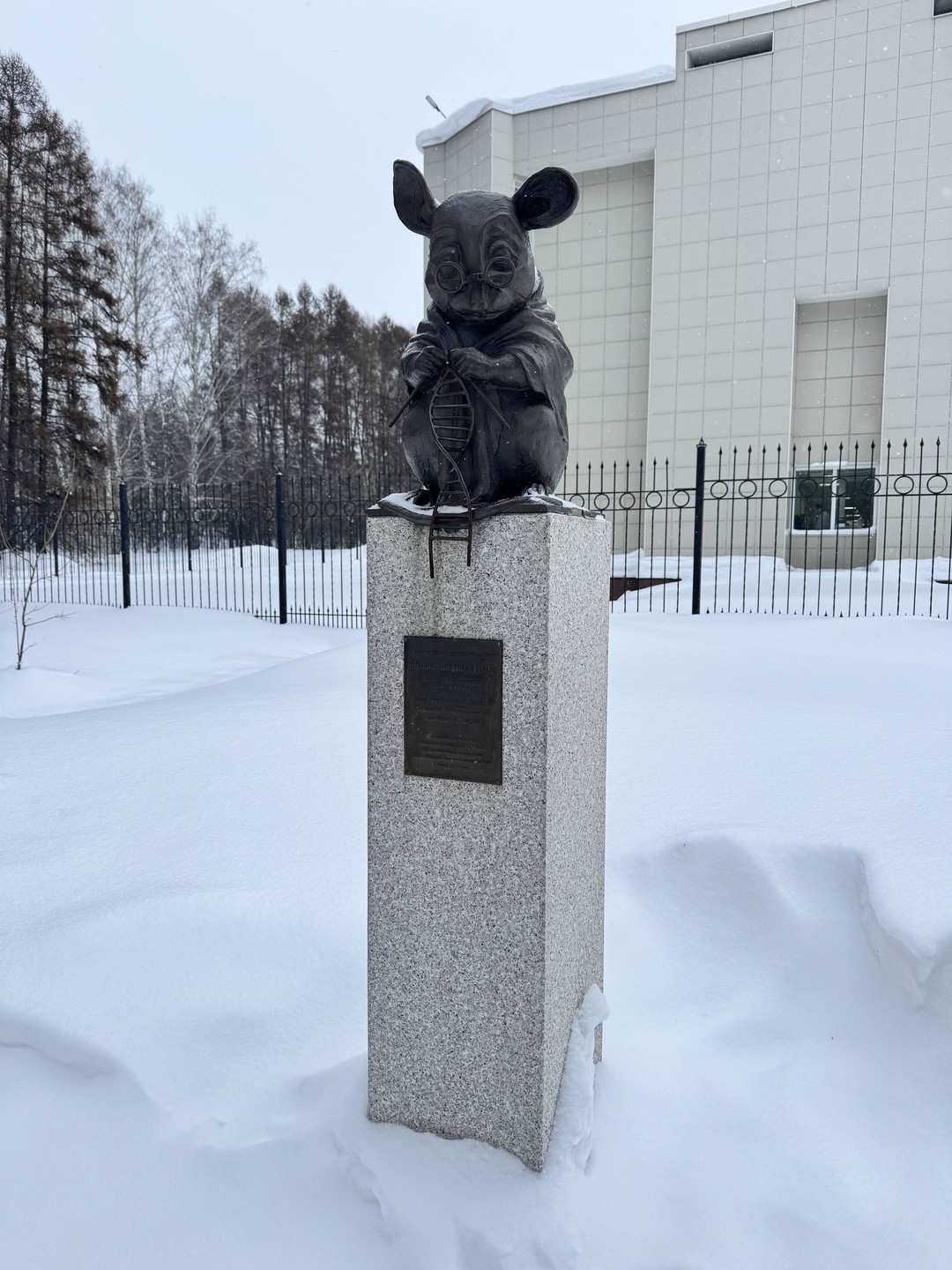 Отзыв о экскурсии "Живые истории Академгородка" — фото 4