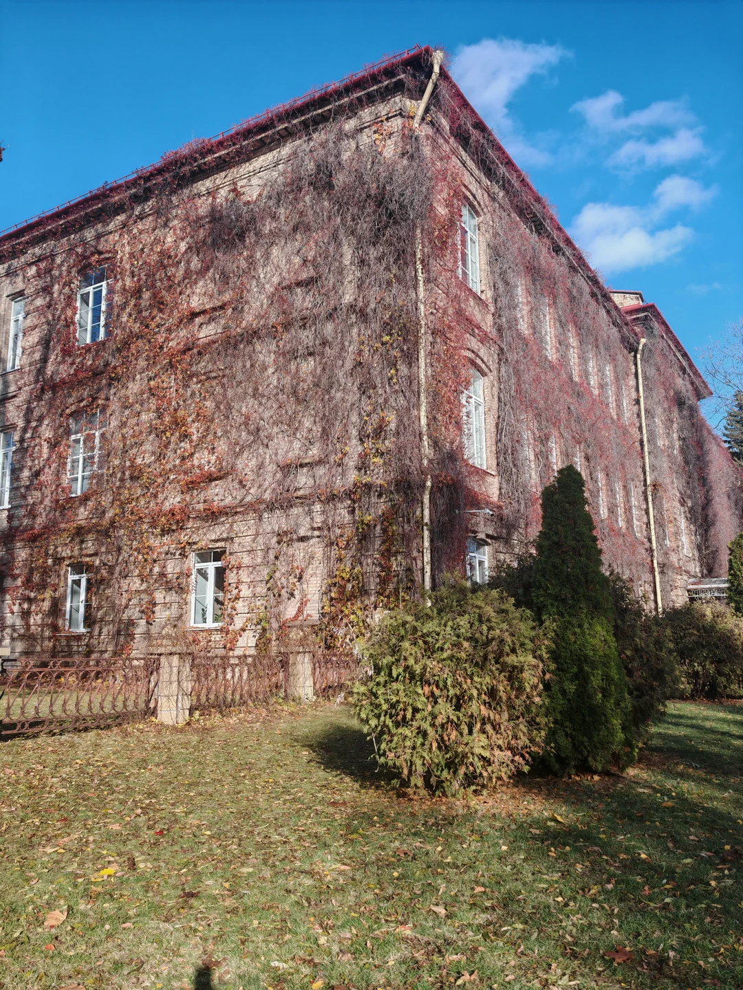 Фото путешественника — 5