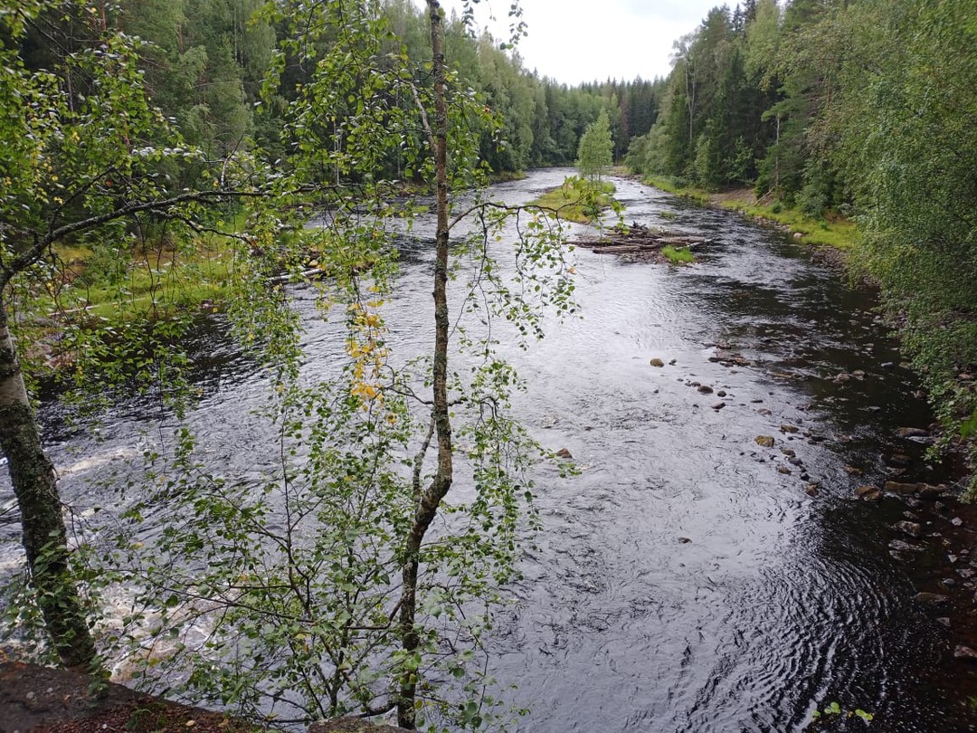 Отзыв о экскурсии "На «железном коне» по Карелии: велотур по природным достопримечательностям" — фото 3