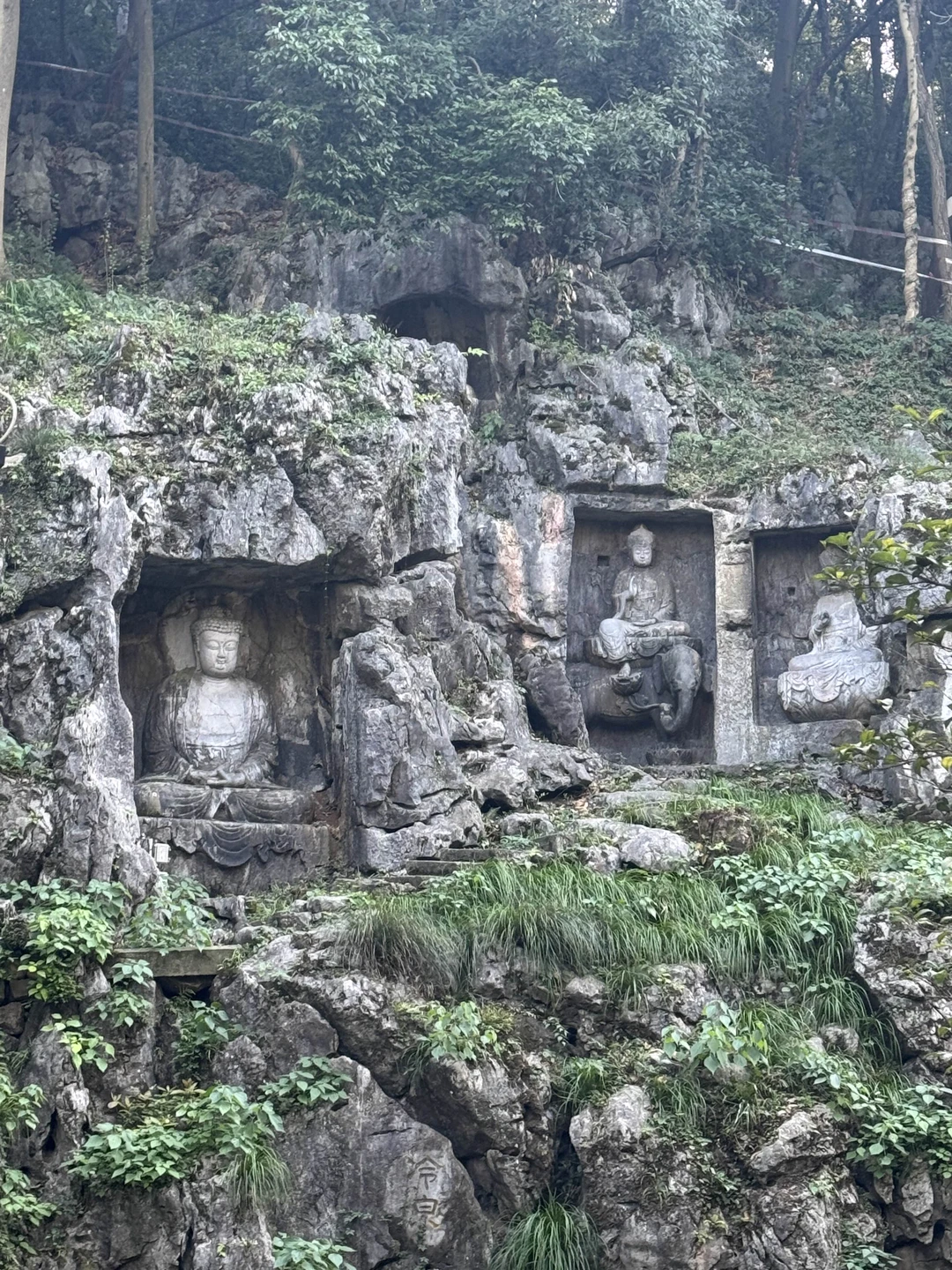 Отзыв о экскурсии "Из Шанхая в Ханчжоу и обратно — на высокоскоростном поезде" — фото 2