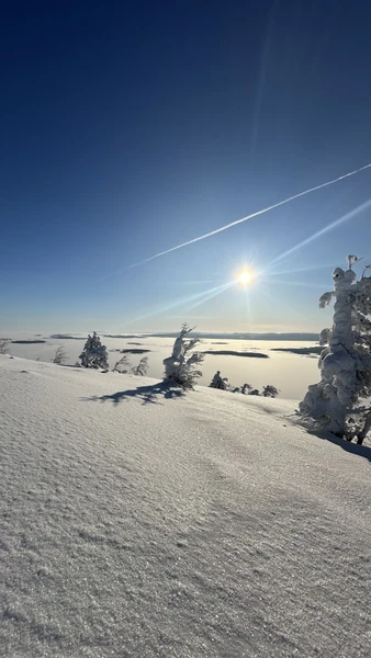 Фото путешественника — 4