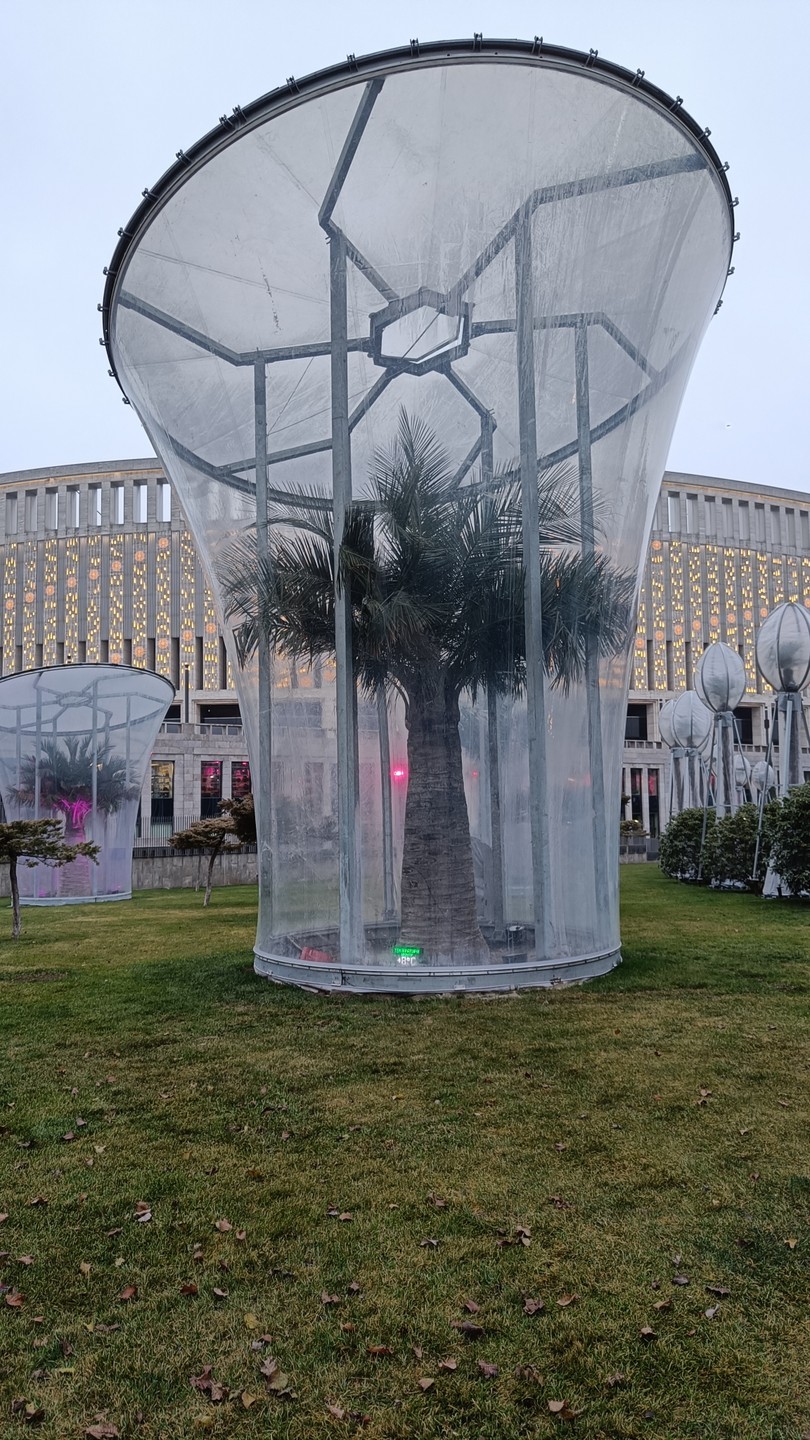 Отзыв о экскурсии "Парк Галицкого: где ты паришь, даже не взлетая" — фото 2