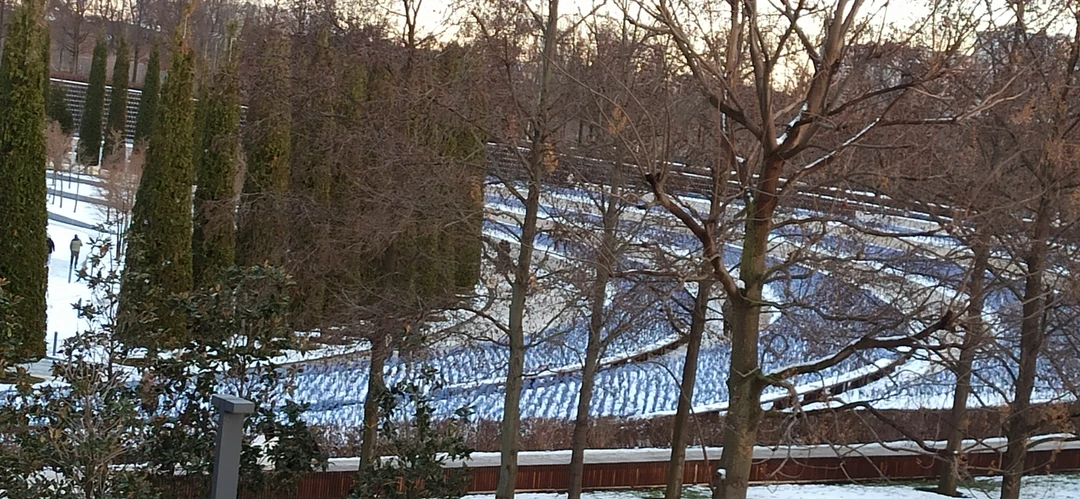 Отзыв о экскурсии "По Краснодару и парку Галицкого (пешком и на машине)" — фото 8